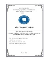 báo cáo thực hành CÔNG TY TNHH SẢN XUẤT, CHẾ BIẾN VÀ KINH DOANH CÁC SẢN PHẨM TỪ TRÁI CÂY SẠCH VIỆT NAM