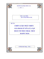 CHIẾN LƯỢC PHÁT TRIỂN SẢN PHẨM TỪ SỮA CỦA TẬP ĐOÀN TH TRUE MILK  TRUE HAPPY NESS 