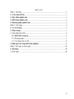 (SKKN 2022) Rèn luyện kỹ năng giải phương trình, bất phương mũ và lôgarit bằng phương pháp sử dụng tính đơn điệu của hàm số cho học sinh lớp 12