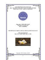 tiểu luận DẪN NHẬP TRIẾT HỌC ẤN ĐỘ đề tài PHÊ BÌNH QUAN ĐIỂM CARVAKA TRONG KINH PAYASI (D 23)