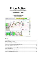 Sổ tay hướng dẫn hành động giá (Bryce Gilmore)