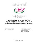 Xác định thành phần hóa học và tác dụng dược lý trong chăm sóc sức khỏe con người của cây Cát Sâm