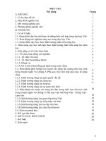 (SKKN 2022) Vận dụng phương pháp dạy học tích hợp và hoạt động trải nghiệm để phát triển năng lực học sinh khi dạy bài Vợ chồng A Phủ của Tô Hoài (chương trình Ngữ văn 12).