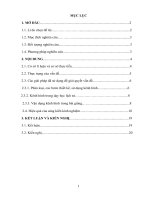 (SKKN 2022) sử dụng kênh hình vào giảng dạy chủ đề xã hội nguyên thuỷ lịch sử 10 chương trình cơ bản 