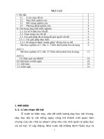 (SKKN 2022) sử dụng kĩ thuật mảnh ghép nhằm nâng cao hiệu quả dạy và học bài 11,12 thiên nhiên phân hóa đa dạng tiết 11,12 địa lí lớp 12 THPT hiệu quả dạy và hcoj bài 11,12 thiên nhiên phân hóa đa dạng (tiết 11,12) 