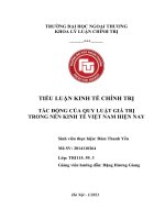 TIỂU LUẬN KINH TẾ CHÍNH TRỊ TÁC ĐỘNG CỦA QUY LUẬT GIÁ TRỊ TRONG NỀN KINH TẾ VIỆT NAM HIỆN NAY