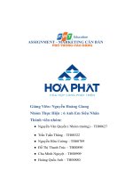 ASSIGNMENT - MARKETING CĂN BẢN   Công ty TNHH Điện Lạnh Hoà Phát