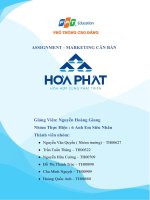 ASSIGNMENT - MARKETING CĂN BẢN Doanh Nghiệp Công ty TNHH Điện Lạnh Hoà Phát