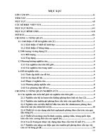 Nghiên cứu sự ảnh hưởng của kích thước và biên dạng thân cây bông súng đến ứng dụng của ống đa diện   đồ án tốt nghiệp ngành công nghệ kỹ thuật nhiệt 