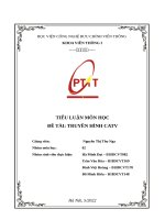 Tiểu luận môn học phát thanh và truyền hình (1) 