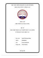 TIỂ ậ u LU n môn PHÁP LUẬT đại CƯƠNG đề tài THỰC HIỆN PHÁP LUẬ hôn NHÂN và GIA ĐÌNH t về ở ỉ t NH bắc GIANG HI n NAY 