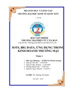 bÀI tập NHÓM THƯƠNG mại điện tử căn bản IOTS, BIG DATA  ỨNG DỤNG TRONG KINH DOANH THƯƠNG mại 
