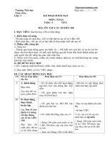 Giáo án Toán lớp 2 sách Cánh Diều tuần 1 - Giáo viên Việt Nam