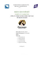 BÁO cáo CUỐI kỳ NGHIÊN cứu MARKETING CÔNG TY TNHH NATURE STORY VIỆT NAM mỹ PHẨM COCOON 