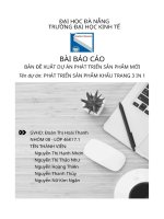 BẢN đề XUẤT dự án PHÁT TRIỂN sản PHẨM dự án kế hoạch phát triển sản phẩm mới KHẨU TRANG 3 IN 1 