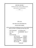 Bản kế hoạch marketing 2022 cho sản phẩm mì hảo hảo của công ty cổ phần acecook việt nam 