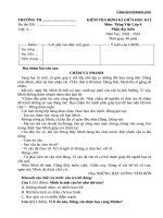 Bộ đề kiểm tra Tiếng Việt lớp 4 giữa học kì 1 - Giáo viên Việt Nam