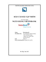 BÁO cáo bài tập NHÓM tên doanh nghiệp NGÂN HÀNG VIETINBANK 
