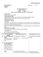 Giáo án Toán lớp 2 sách Cánh Diều tuần 2 - Giáo viên Việt Nam