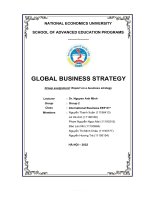 GLOBAL BUSINESS STRATEGY group assignment report on a business strategy 