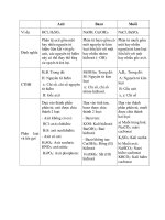 BANG THONG KE AXIT   BAZO  MUOI