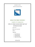 BÁO cáo THỰC HÀNH 6 NGHIÊN cứu MARKETING CÔNG TY TNHH NATURE STORY VIỆT NAM mỹ PHẨM COCOON 