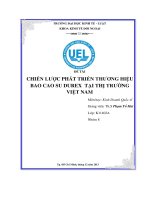 CHIẾN lượ THƯƠNG HIỆ c PHÁT TRIỂN u BAO CAO SU DUREX t i TH NG ạ ị TRƯỜ VIỆT NAM 