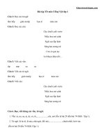 Bài tập Tết môn Tiếng Việt 1 năm 2021 - Giáo viên Việt Nam