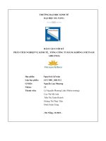 BÁO cáo CUỐI kỳ PHÂN TÍCH NGHIỆP vụ KINH tế  TỔNG CÔNG TY HÀNG KHÔNG (VIETNAM AIRLINES) 
