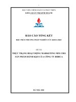 THỰC TRẠNG HOẠT ĐỘNG MARKETING MIX CHO SẢN PHẨM BÁNH KẸO CỦA CÔNG TY BIBICA