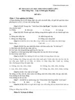 3 đề thi học sinh giỏi Tiếng Việt lớp 3 có đáp án - Giáo viên Việt Nam