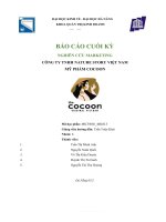 BÁO cáo CUỐI kỳ NGHIÊN cứu MARKETING CÔNG TY TNHH NATURE STORY VIỆT NAM mỹ PHẨM COCOON 