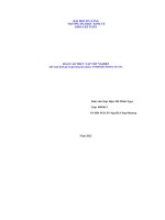 BÁO cáo THỰC tập tốt NGHIỆP (kế toán thuế giá trị gia tăng tại công ty TNHH BÁCH HOA XUÂN) 