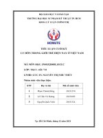 TIỂU LUẬN CUỐI kỳ LY hôn TRONG GIỚI TRẺ HIỆN NAY ở VIỆT NAM 