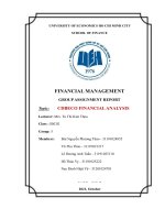financial management group assignment report topic cdbeco financial analysis 