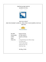 BÁO cáo CUỐI kỳ PHÂN TÍCH NGHIỆP vụ KINH tế  TỔNG CÔNG TY HÀNG KHÔNG (VIETNAM AIRLINES) 