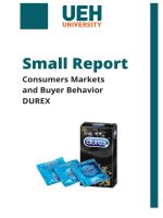 small report consumers markets and buyer behavior durex 