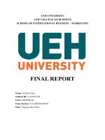 vinamilk’s final report 