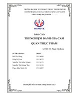 BÁO cáo THÍ NGHIỆM ĐÁNH GIÁ cảm QUAN THỰC PHẨM bài 5 PHÉP THỬ mô tả 