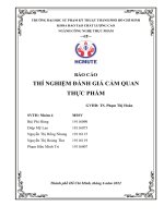 BÁO CÁO THÍ NGHIỆM ĐÁNH GIÁ CẢM QUAN THỰC PHẨM