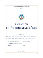 BÀI tập lớn phân tích quan niệm duy vật biện chứng về mối quan hệ giữa vật chất và ý thức, từ đó xây dựng ý nghĩa phương pháp luận chung và liên hệ thực tiễn