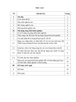 (SKKN 2022) giải pháp giúp học sinh lớp 4 thực hiện tốt quy trình vẽ cùng nhau và sáng tác các câu chuyện trong môn mỹ thuật theo phương pháp đan mạch ở trường tiểu học nga thiện 