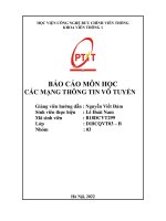 Báo cáo môn học các mạng thông tin vô tuyến (1) 