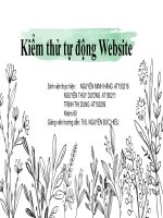 Kiểm thử tự động website  