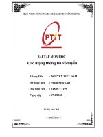Bài tập môn các mạng thông tin vô tuyến (48) 