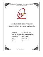 Mạng vô tuyến không dây (4) 