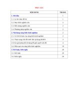 (SKKN 2022) Các giải pháp nâng cao hiệu quả bồi dưỡng học sinh giỏi phần cho oxit axit tác dụng với dung dịch Ba zơ bậc THCS