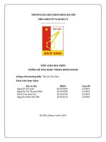 bài tập lớn Thống kê ứng dụng trong kinh doanh