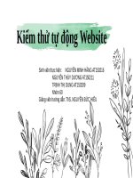 Kiểm thử tự động website chương II selenium IDE và apache jmeter 