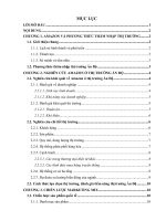 CHIẾN LƯỢC MARKETING QUỐC TẾ CỦA AMAZON  TẠI THỊ TRƯỜNG ẤN ĐỘ